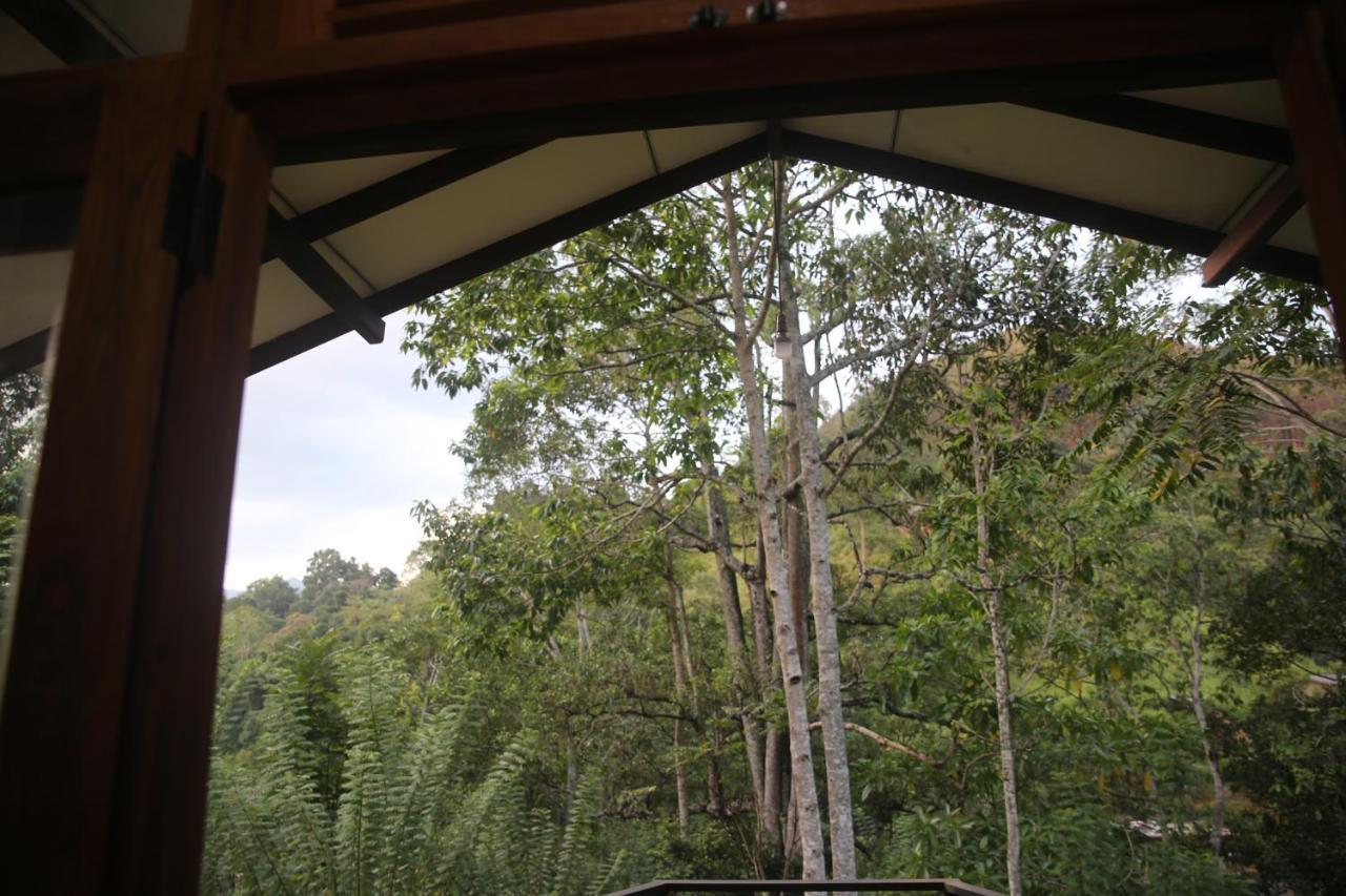 Rivinu Holiday Resort Ella Ngoại thất bức ảnh