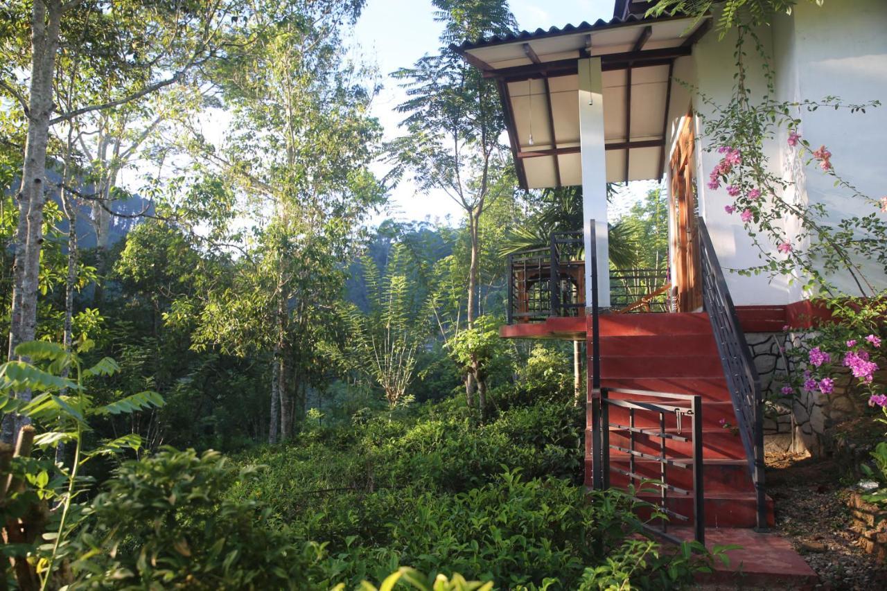 Rivinu Holiday Resort Ella Ngoại thất bức ảnh