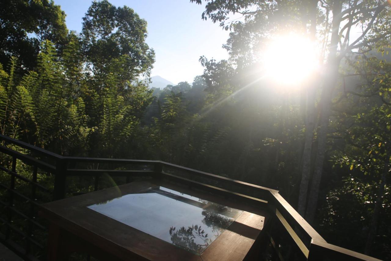 Rivinu Holiday Resort Ella Ngoại thất bức ảnh